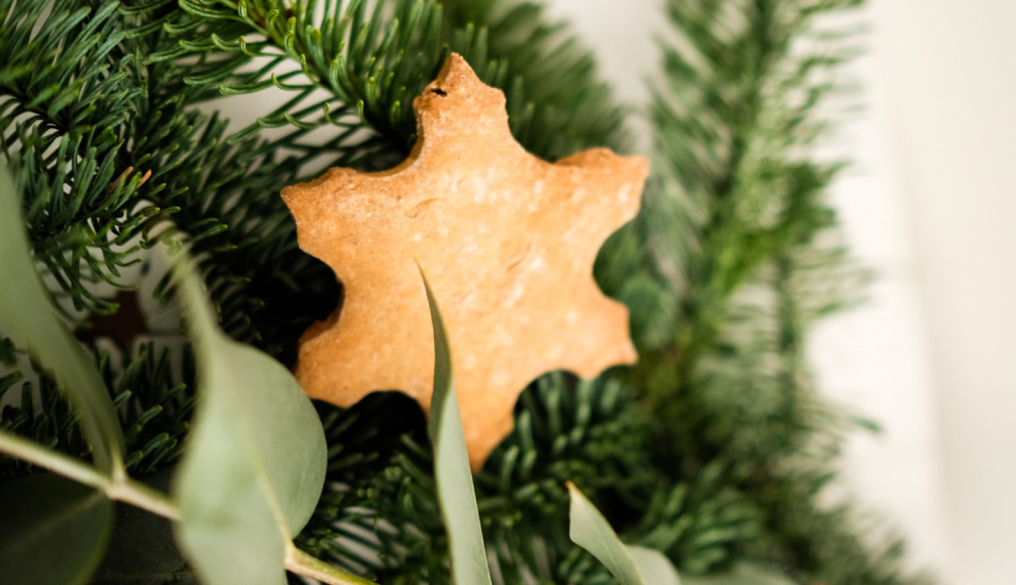 Άρωμα Χριστουγέννων - Christmas Cookies